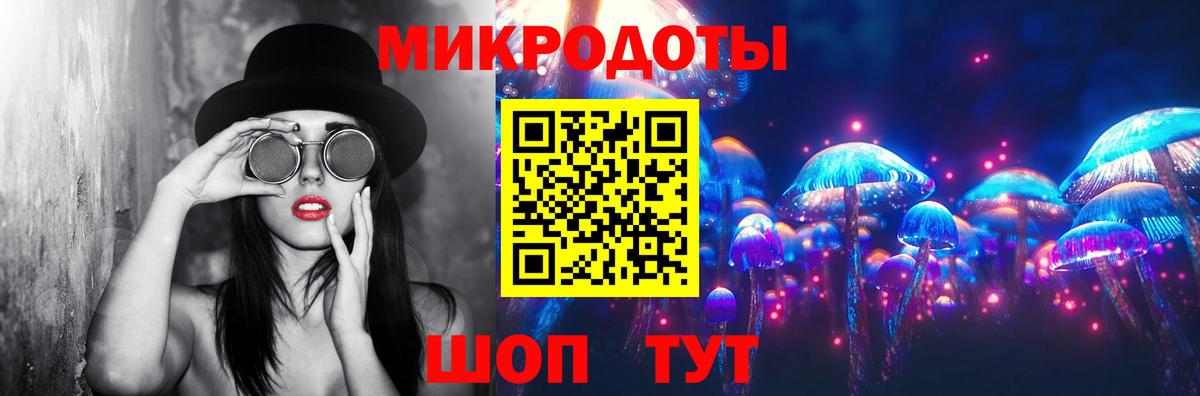 Псилоцибиновые грибы Psilocybe Медногорск